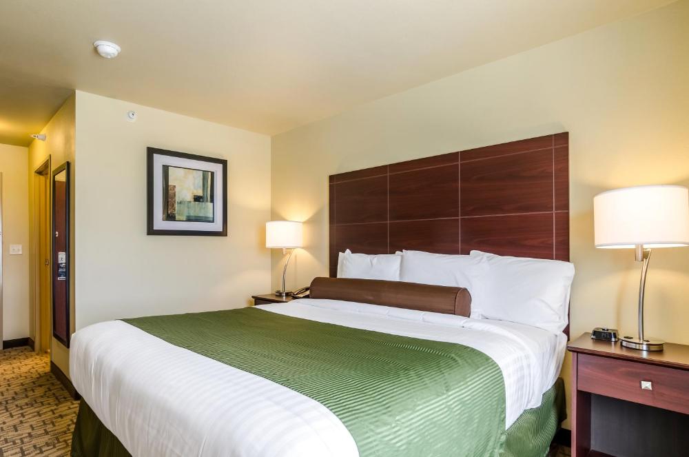 King Room - Disability Access interior